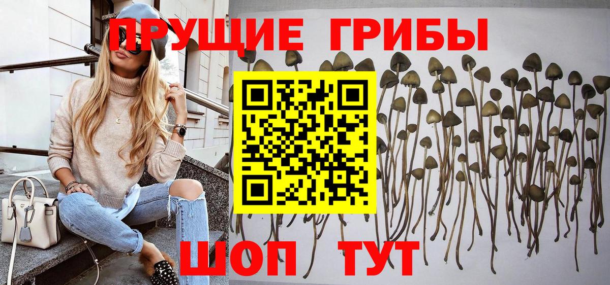 Псилоцибиновые грибы MAGIC MUSHROOMS Ишим