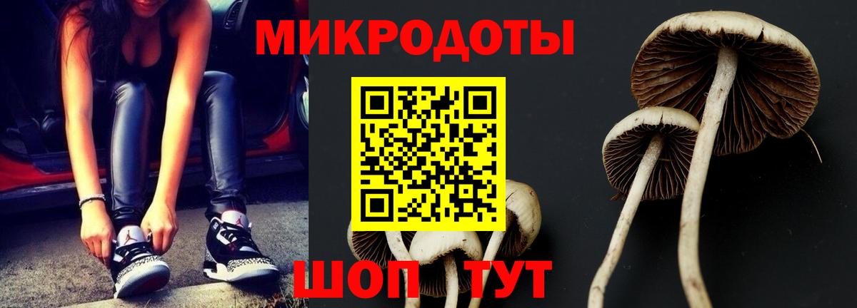 Ишим  Псилоцибиновые грибы Magic Shrooms  Вход с VPN 